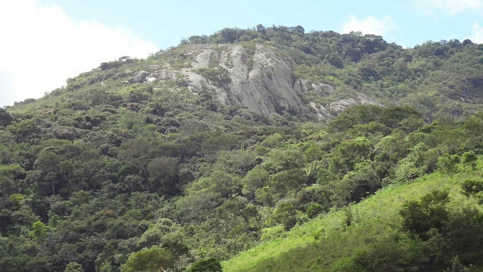 Pernambuco Interior Forests One Earth